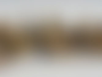 Northampton Contact Case – Greys, Reptilians, Abduction, UFO Sightings, Telepathic Communication