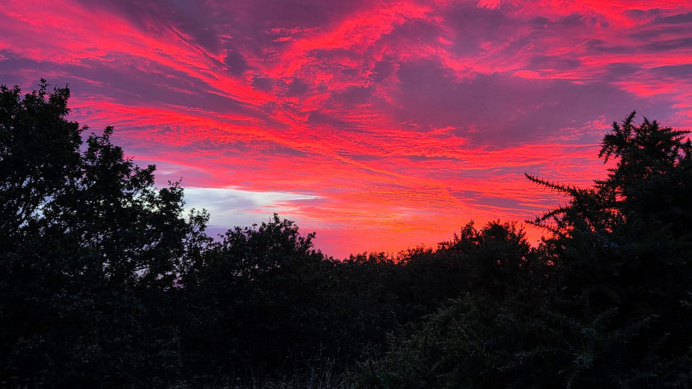 Photograph of the sunset on the way up