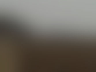 Bletchley Contact Case (Part 1) - Greys, Nordics, Abductions, UFOs, Orbs, Body Markings, Paranormal