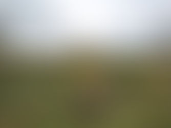 Bozeat Contact Case – Orbs, Beings, Missing Time, Psychic Abilities