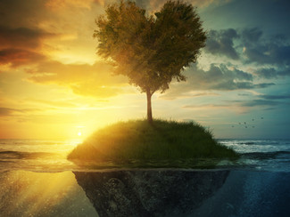 Sun Gazing to Access the Light Within