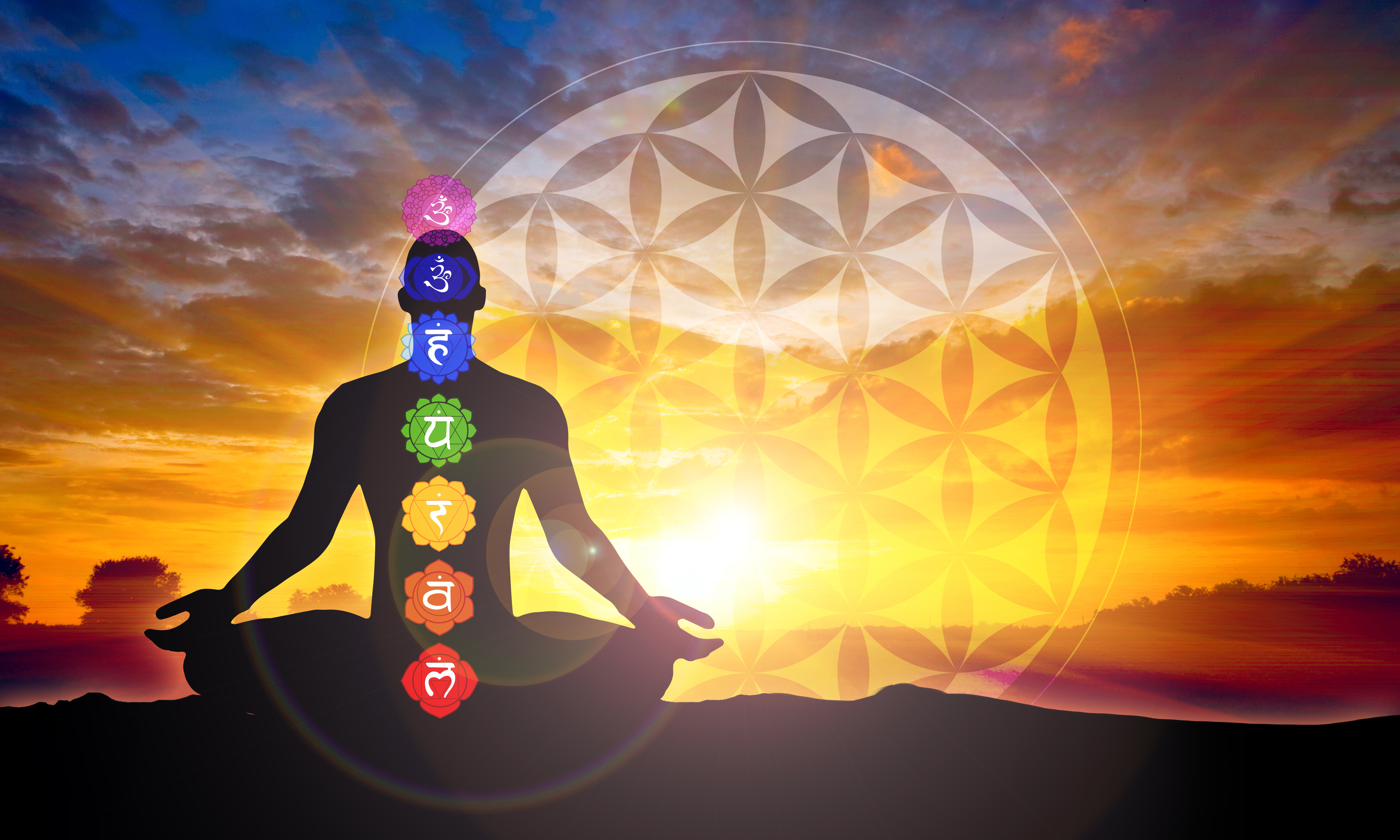 Chakras & Chanting