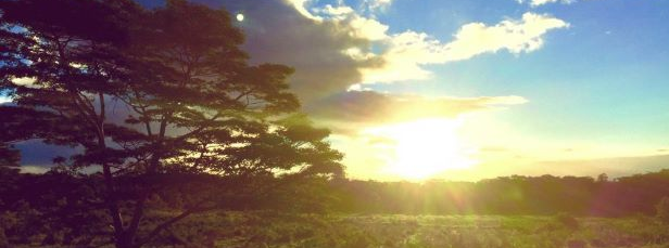 Sensual Sight & Shamanic Flight