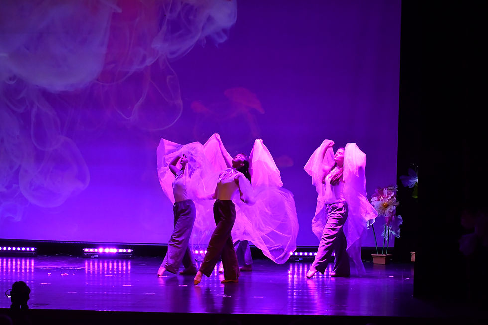 cours danse pointes lyrique granby intights_DSC4511.JPG