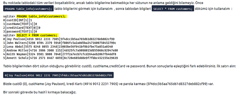 OWASP Top 10 Tryhackme Writeup