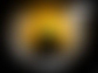 Suggestions for a Positive Day