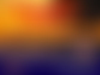 Christmas walk: Friday 28th December