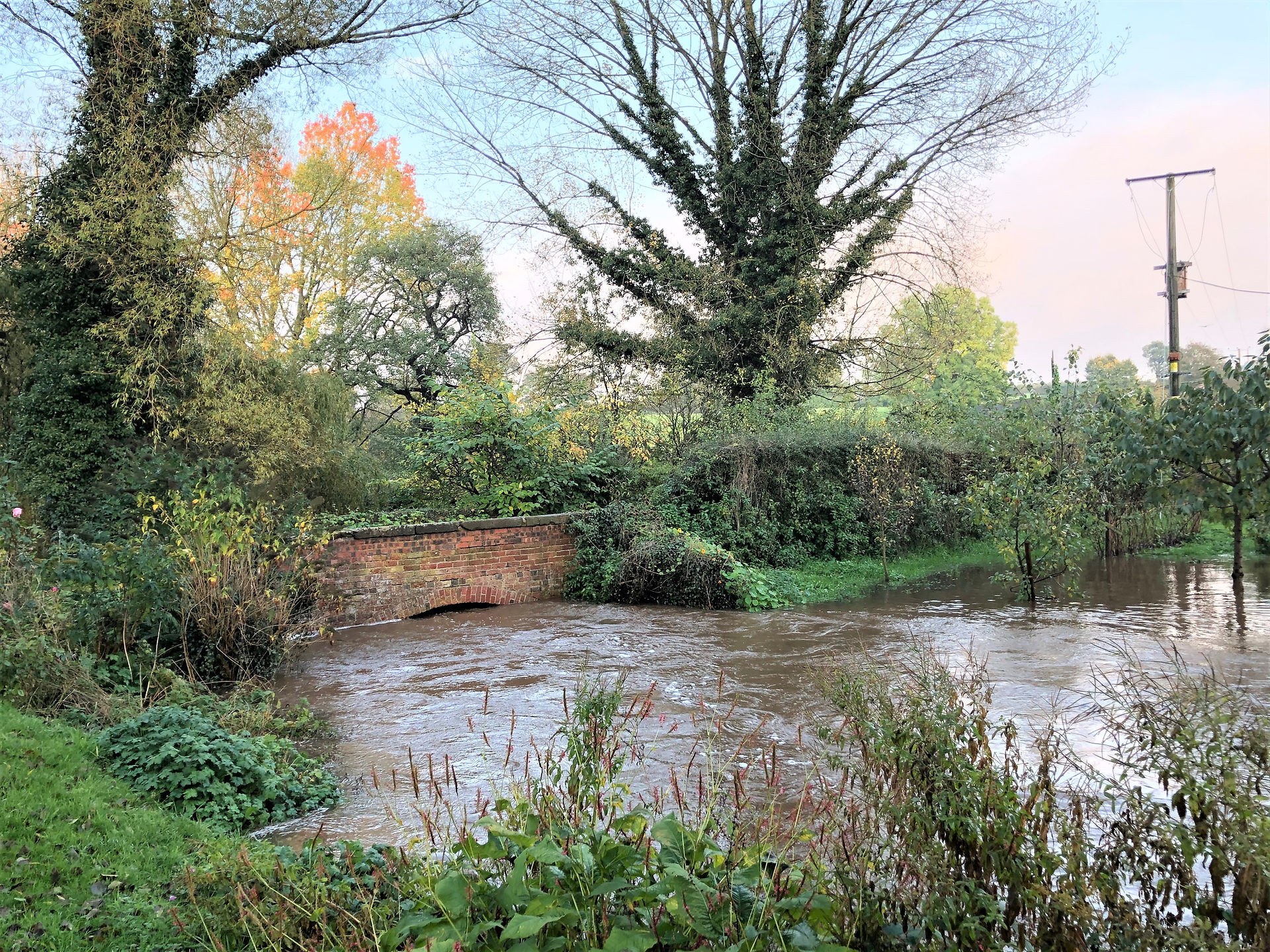River Tern Bridge Forge Farm
