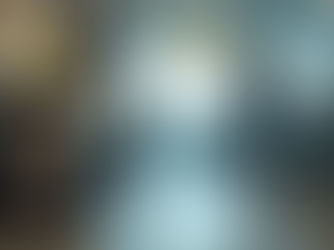 Your Complete Guide to Transporting Your Dog or Cat from the USA to Cyprus