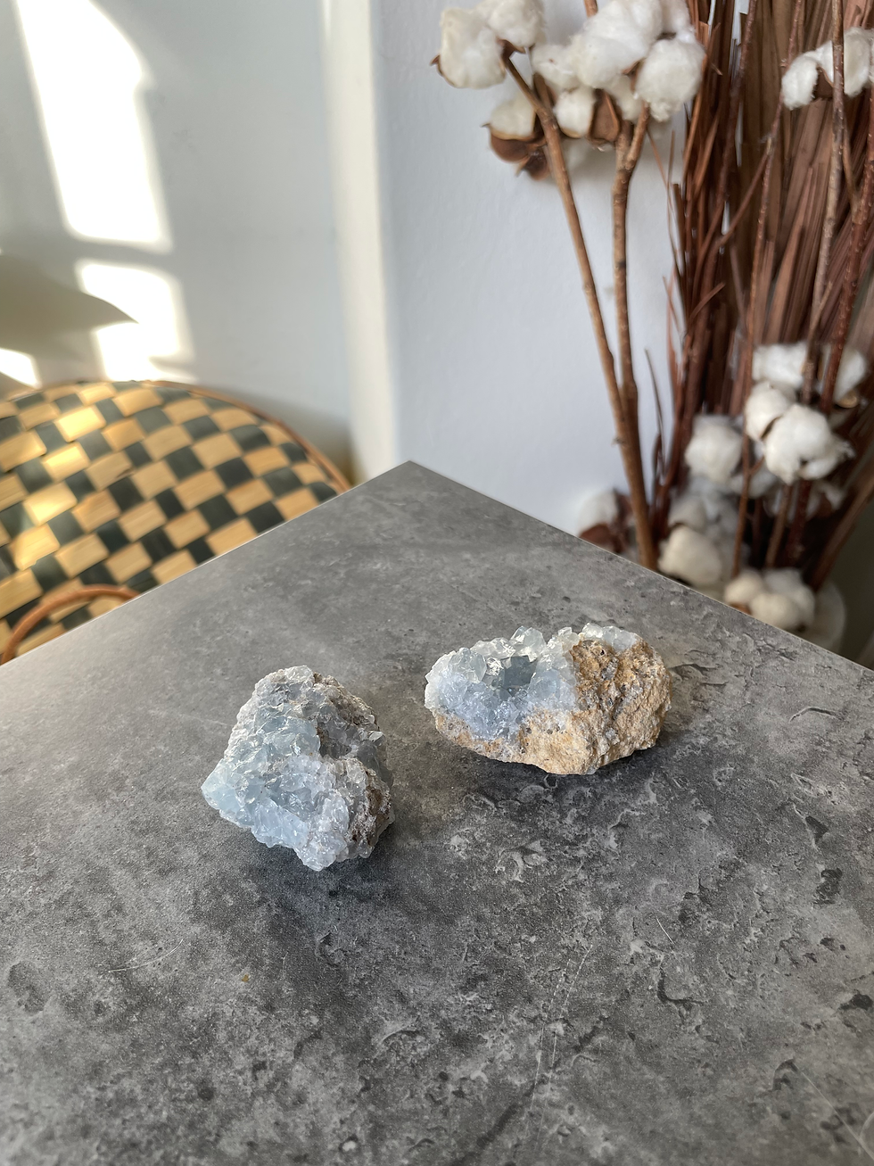 Miniatura: Drusas de Celestina