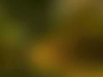 From Garden to Cigarette-Free Life: Exploring Natural Remedies to Stop Smoking