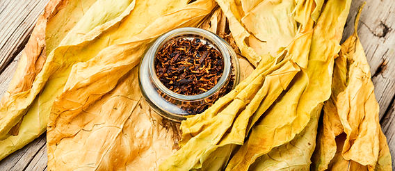 does chewing tobacco cause bad breath Just because it's not smoked doesn't mean it's safe. Chewing tobacco still exposes you to dangerous health risks like the ones in this post. Don't fall for the myth—smokeless doesn't mean harmless. # does chewing tobacco cause bad breath Just because it's not smoked doesn't mean it's safe. Chewing tobacco still exposes you to dangerous health risks like the ones in this post. Don't fall for the myth—smokeless doesn't mean harmless. #