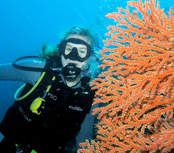 Diving on the Great Barrier Reef