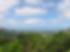 Alexandra Lookout.jpg