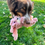 Thumbnail: KONG Scrumplez Bunny