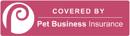Insurance Image 1.png