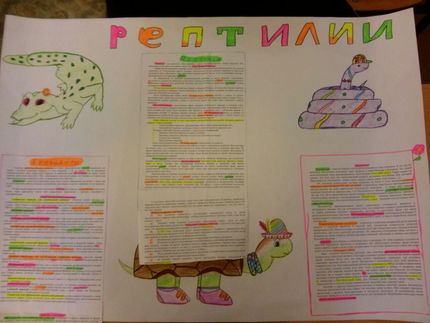 Ох уж ці черепашки!