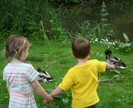 Petersfield Nursery School, Day nursery, childcare, Preschool Stroud, Nursery Hampshire, Reggio Emilia, Farm School Petersfield