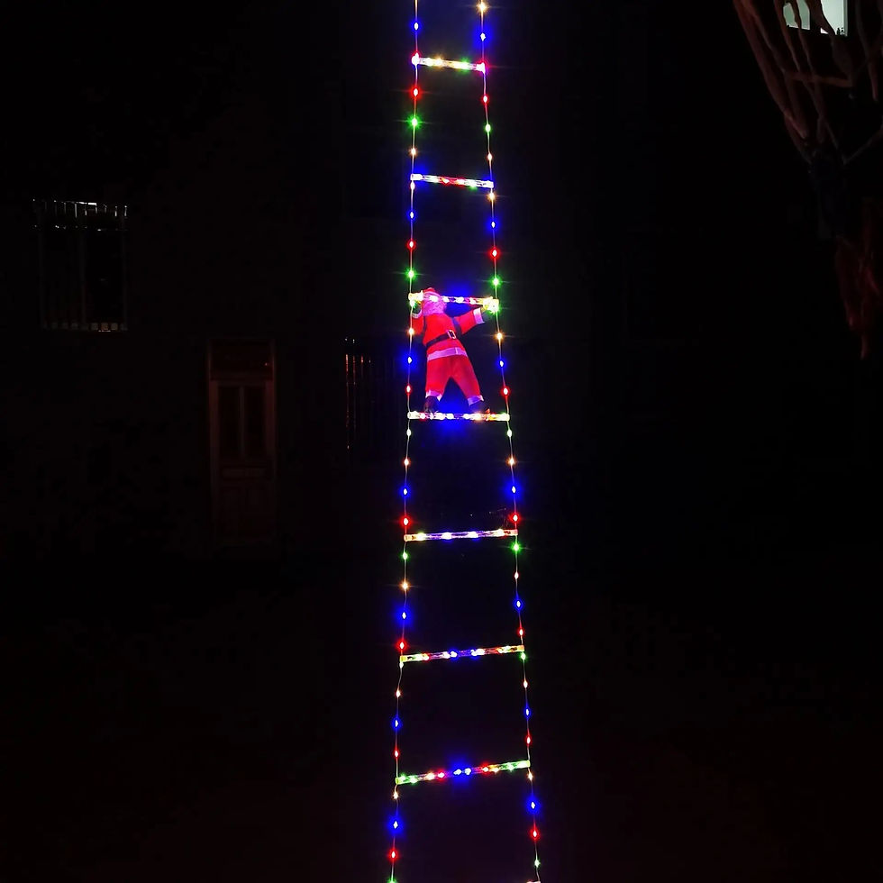 縮圖：Santa Claus Climbing Ladder