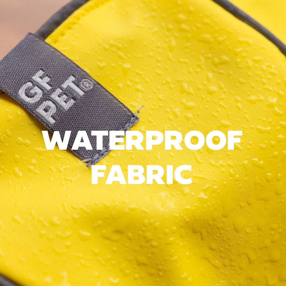 Miniatura: Reversible Elasto-Fit Raincoat - Yellow/Blue