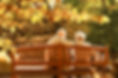 Wills and Probate _ Alstenr Solicitors .jpg