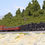Thumbnail: Kato 8039 Freight Car WAMU 80000 Brown 2 Cars Set - N scale