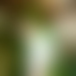 藤岡亜弥写真展 ｢川はゆく｣9月3日(日)- 9月10日(日)