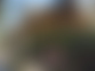 ### פרגולות אלומיניום: פתרון מושלם עבור חללי חוץ