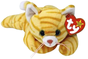 Amber Ii- Cat Reg product image