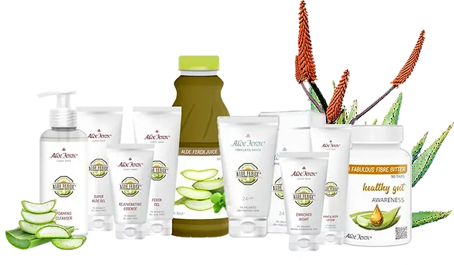 AloeLady.co.za | Natural Aloe Ferox Skincare