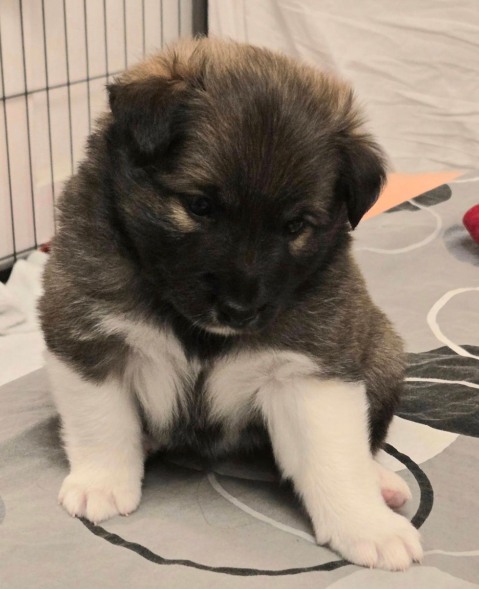 Hi Lydur Geysa Birnadóttir