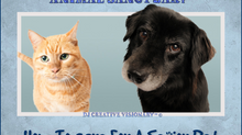 How To Care For A Senior Pet