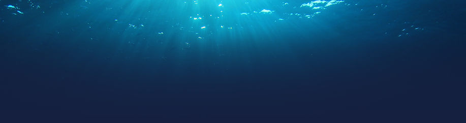 Ocean Header Background.jpg