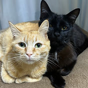 IMG_6156 2_edited.jpg