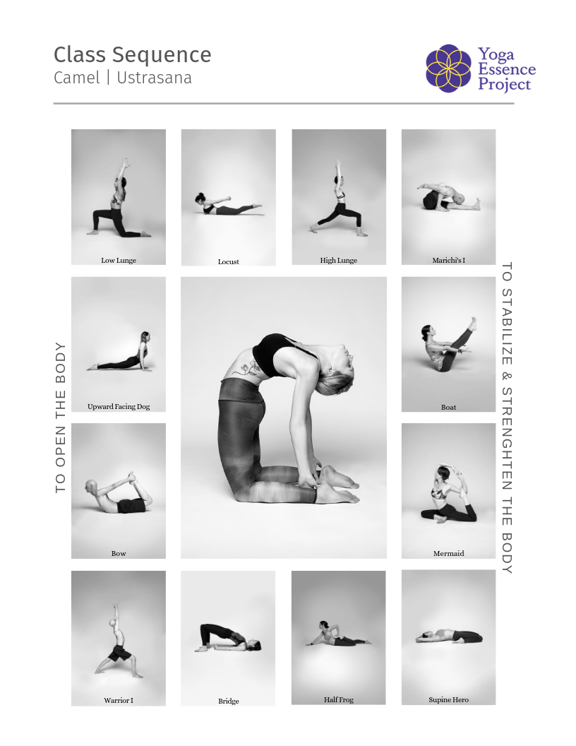 Yoga Sequence Ustrasana Yoga Sequence Ustrasana