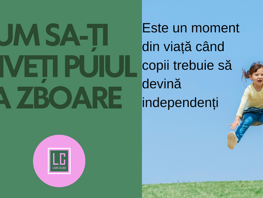 CUM SA ITI INVETI PUIUL SA ZBOARE?