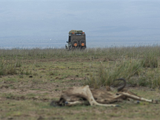 THE JAKARTA POST: Due to its severe risks, we must prepare for a climate overshoot