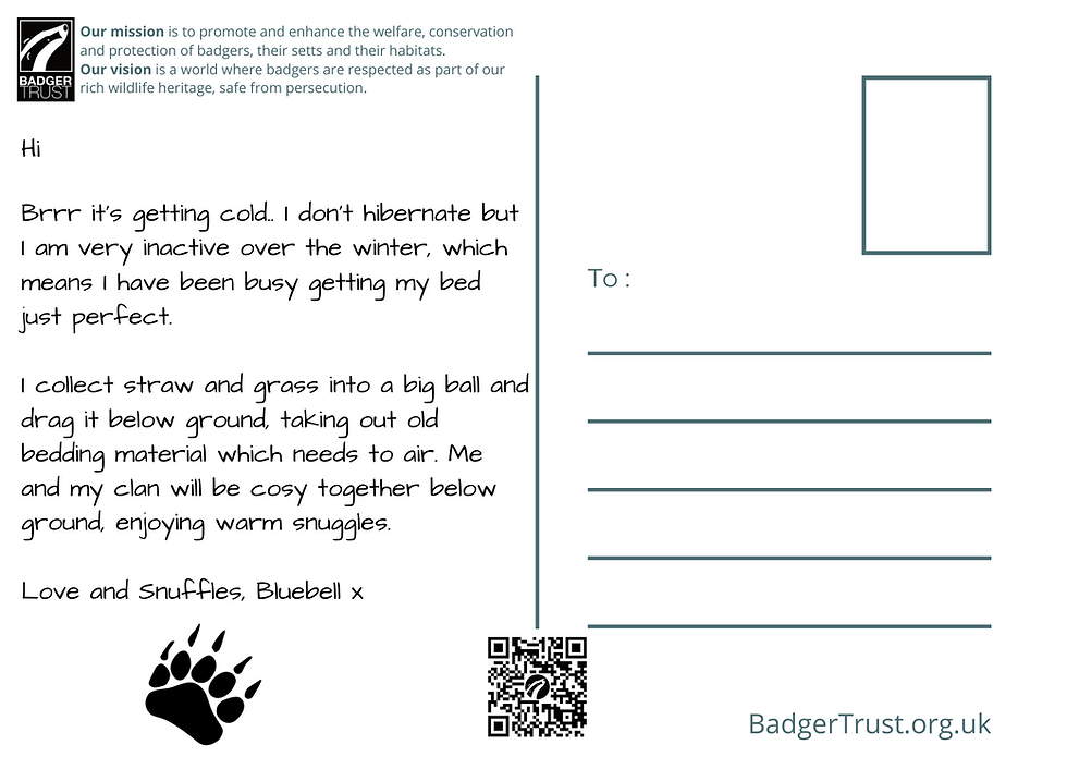 Thumbnail: Befriend a Badger for a year