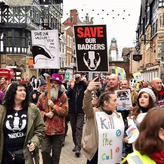 Thousands to descend on Downing Street