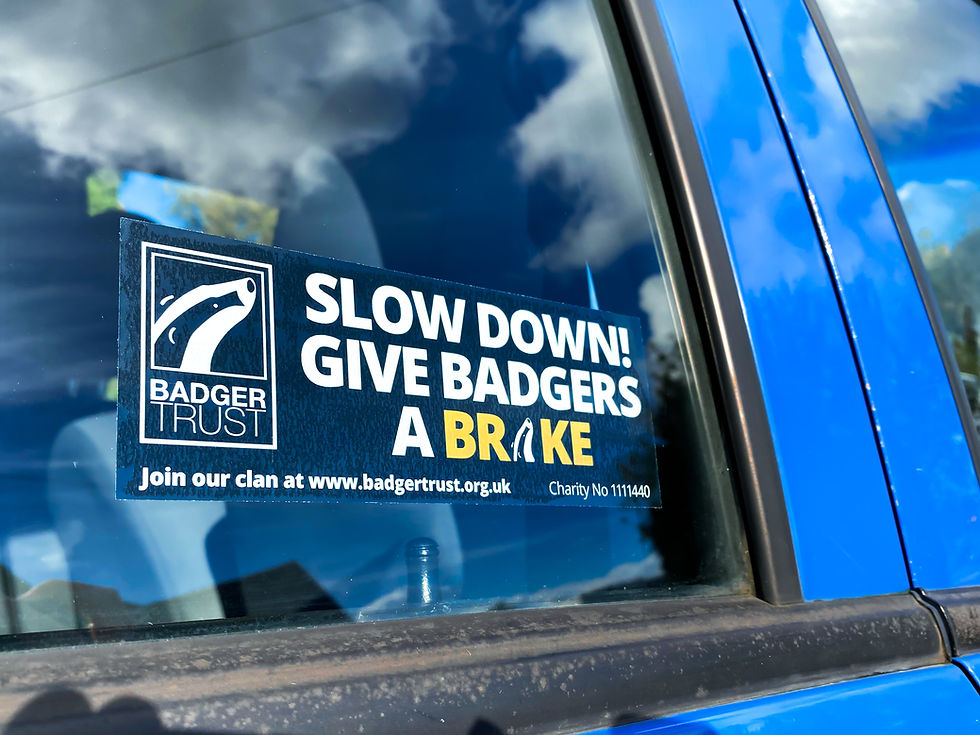 'Give Badgers A Brake' Window Sticker