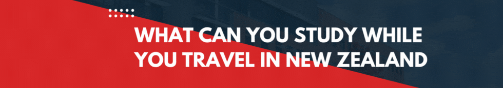 What to study in New Zealand