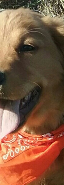 18070633933049500.jpg