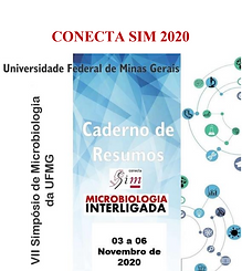 Capa Simpósio Micro de 2020.PNG