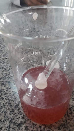 IMG-20190808-WA0018