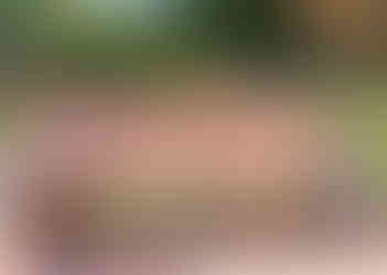 Kids sitting on a Beware of the Bears bench at Bear Country USA in Rapid City South Dakota during a family trip