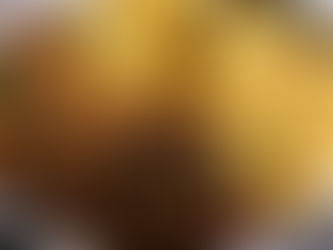 🌱 Receta boloñesa de lentejas con champiñones🌱