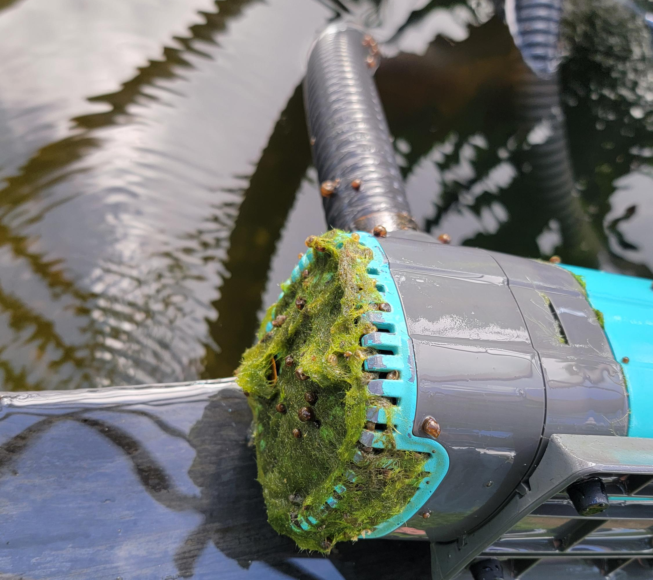 Algae stuck on the intake can restrict water starving your pump. Keep an eye on your water flow and when it starts decreasing it is a good sign that your pump may be getting restricted.
