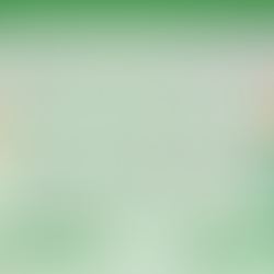 Menú de servicio de alimentos de Marzo 2026