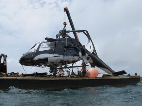 whale marine salvage