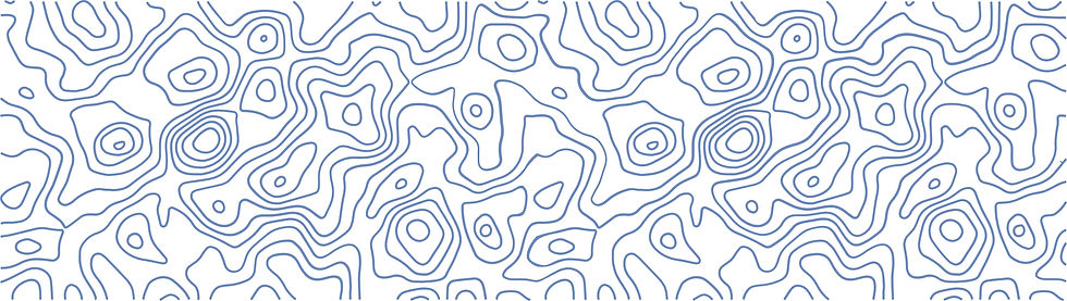 Topographic_Texture_Thin_3x.jpg